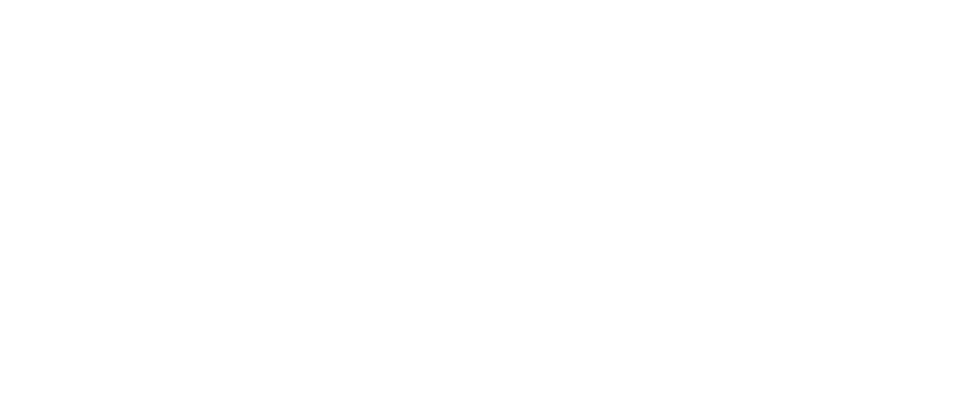 Speed+ Logo